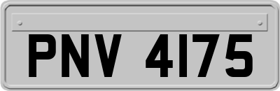 PNV4175