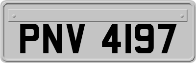 PNV4197