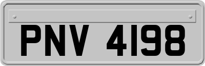 PNV4198
