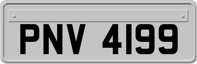 PNV4199