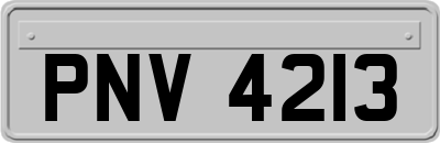PNV4213