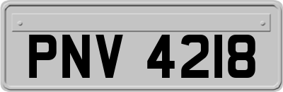 PNV4218