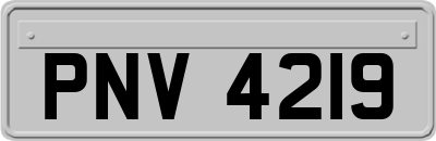 PNV4219