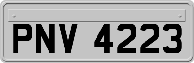 PNV4223