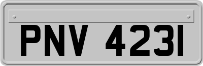 PNV4231
