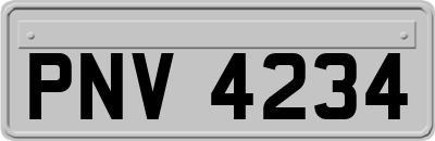 PNV4234