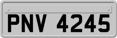 PNV4245