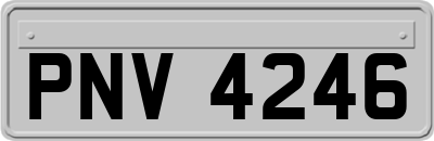 PNV4246