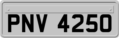 PNV4250