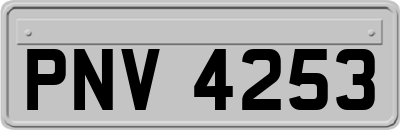 PNV4253