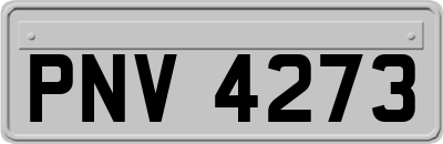 PNV4273