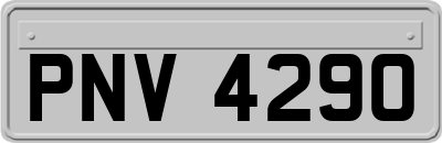 PNV4290