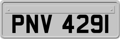 PNV4291