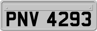 PNV4293