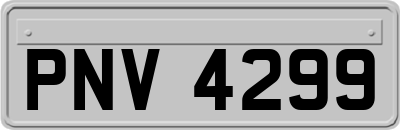 PNV4299