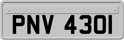PNV4301