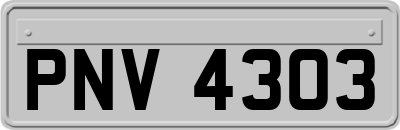 PNV4303