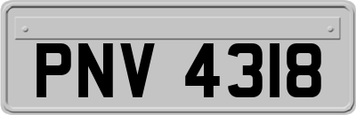 PNV4318