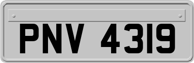 PNV4319