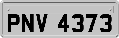 PNV4373