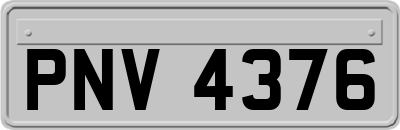 PNV4376