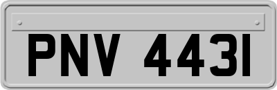 PNV4431