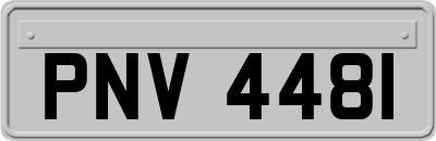 PNV4481