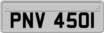 PNV4501