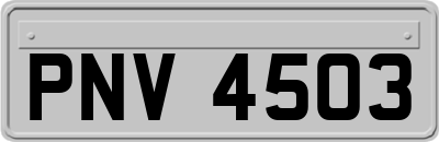 PNV4503