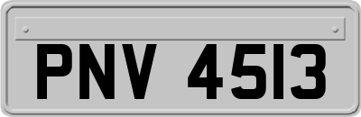 PNV4513