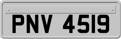 PNV4519