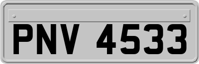 PNV4533