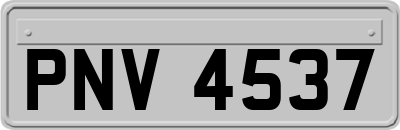 PNV4537