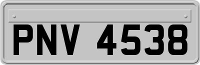 PNV4538