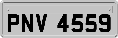 PNV4559