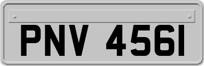PNV4561