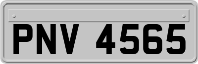 PNV4565