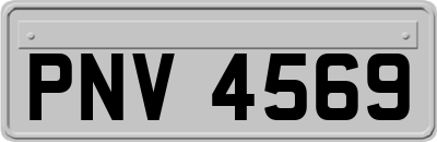 PNV4569