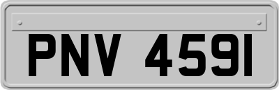 PNV4591