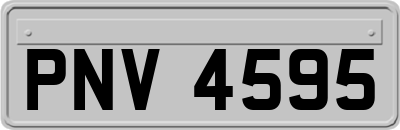 PNV4595