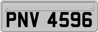 PNV4596