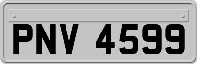 PNV4599