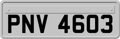 PNV4603