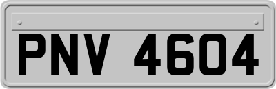 PNV4604