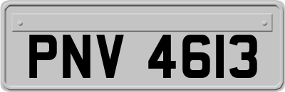 PNV4613