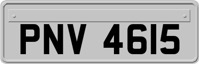 PNV4615
