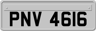 PNV4616
