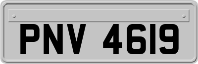 PNV4619