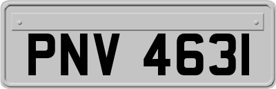 PNV4631