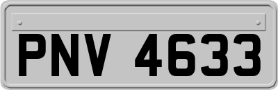 PNV4633